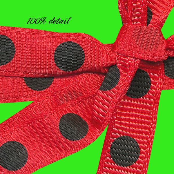 Ladybug Dot Ribbons