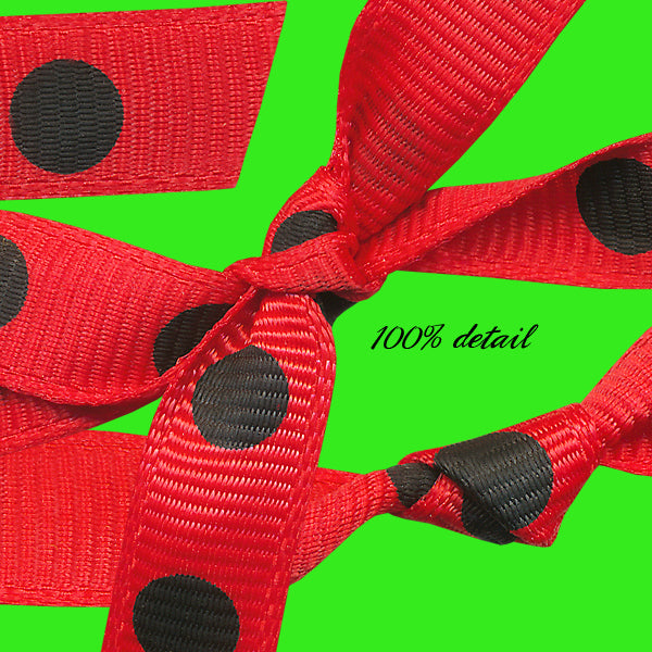 Ladybug Dot Ribbons