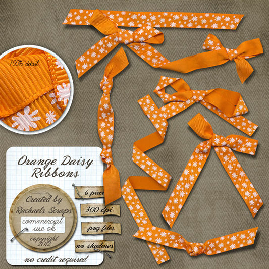 Orange Daisy Ribbons