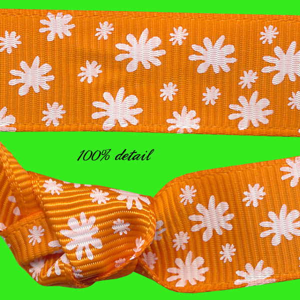 Orange Daisy Ribbons