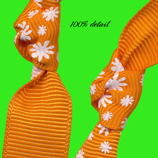 Orange Daisy Ribbons