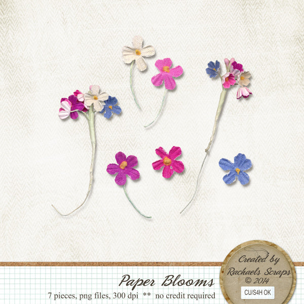 Paper Blooms, Volume 01