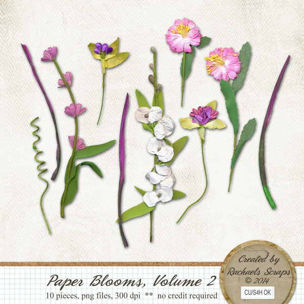 Paper Blooms, Volume 02