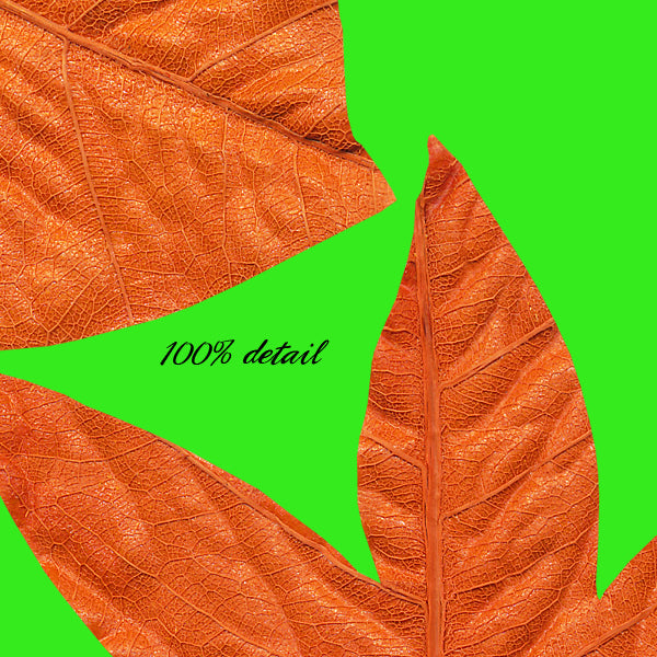 Paper Fall Leaves, Volume 03