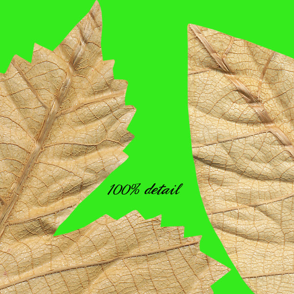 Paper Fall Leaves, Volume 03