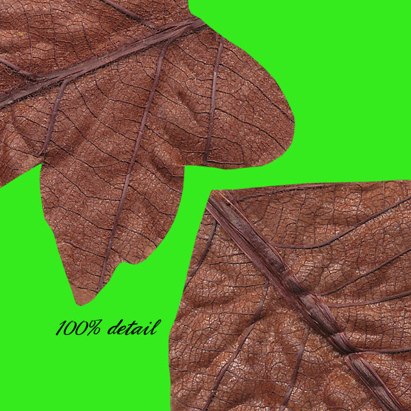 Paper Fall Leaves, Volume 03