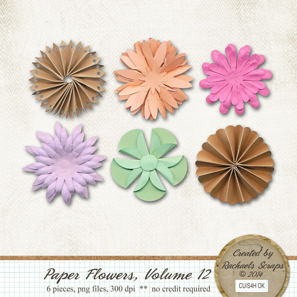 Paper Flowers, Volume 12