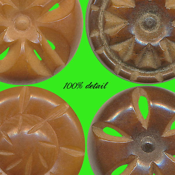 Vegetable Ivory Pierced Buttons