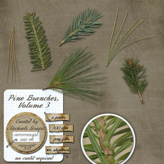 Pine Branches, Volume 03