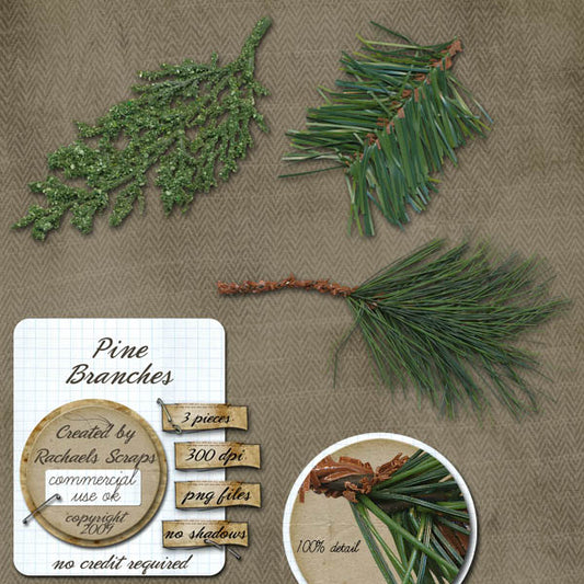 Pine Branches, Volume 01