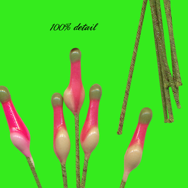 Pink Flower Stamens Set