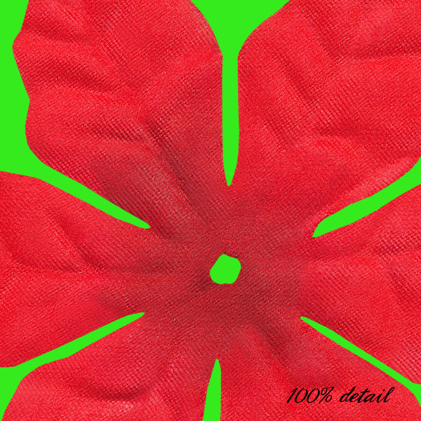 Poinsettias, Volume 05