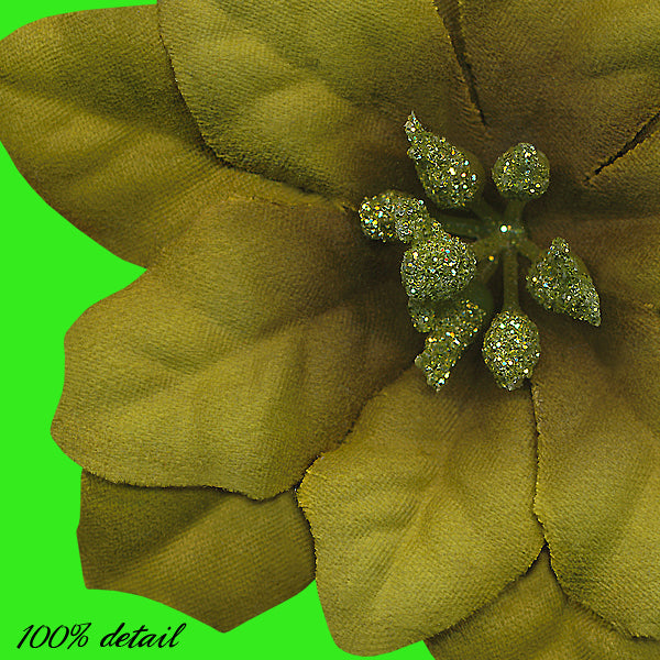 Poinsettias, Volume 04