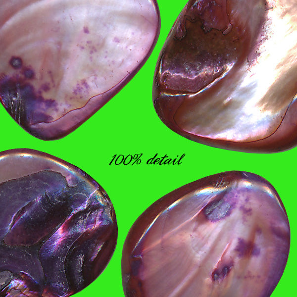 Purple Shell Beads