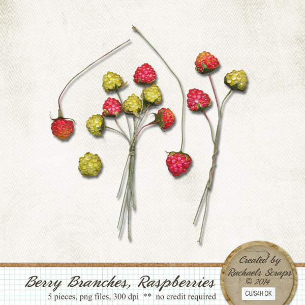 Berry Branches, Raspberries
