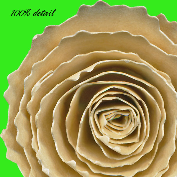 Rolled Paper Flowers, Volume 04