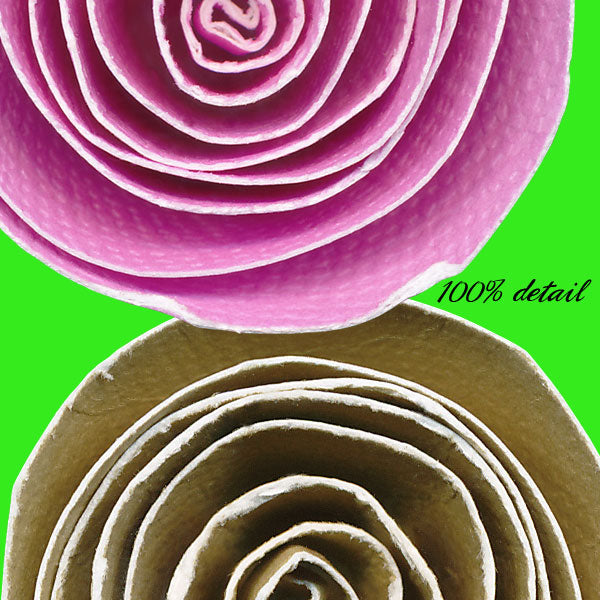 Rolled Paper Flowers, Volume 02