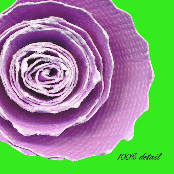 Rolled Paper Flowers, Volume 06