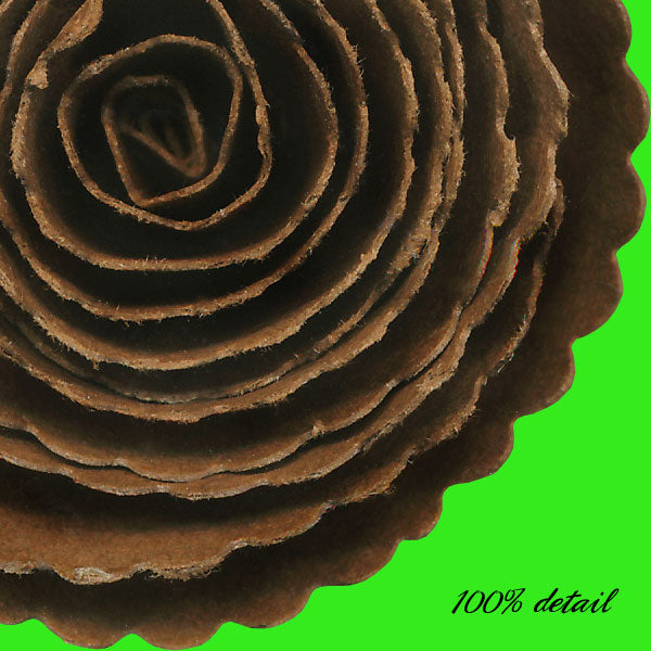 Rolled Paper Flowers, Volume 03