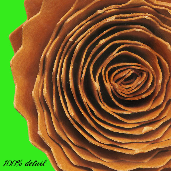 Rolled Paper Flowers, Volume 03