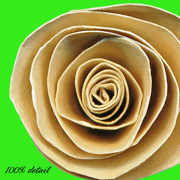 Rolled Paper Flowers, Volume 03