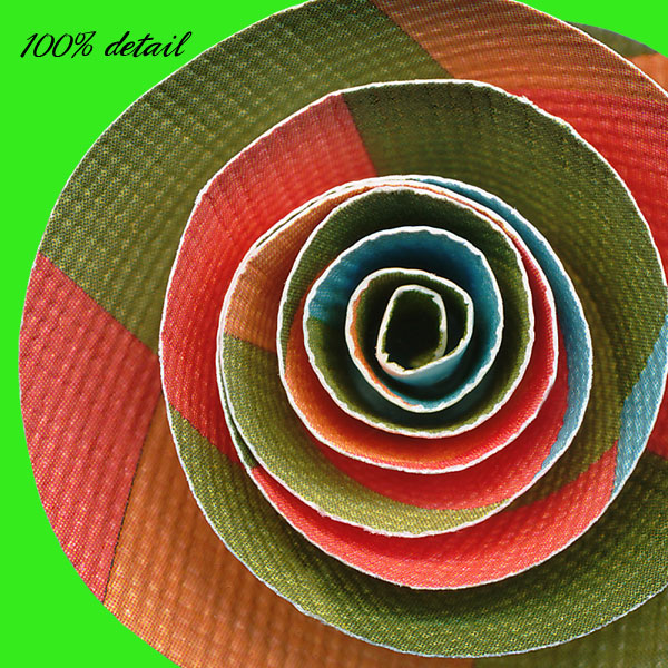 Rolled Paper Flowers, Volume 09