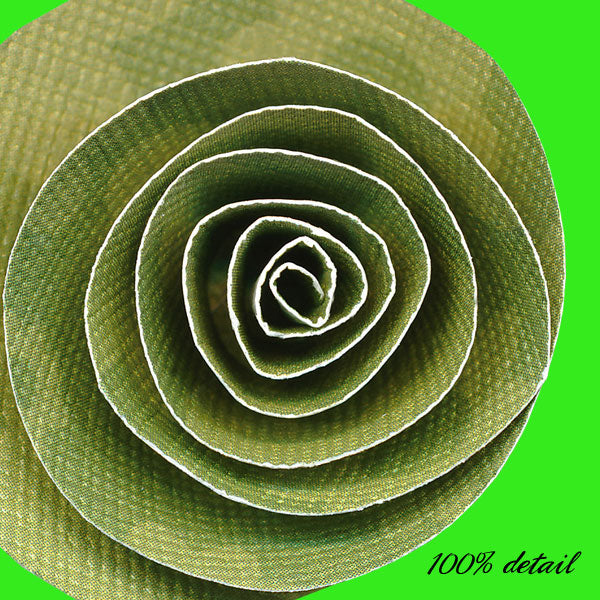 Rolled Paper Flowers, Volume 09