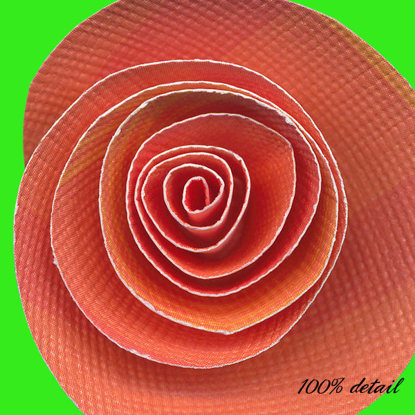 Rolled Paper Flowers, Volume 09