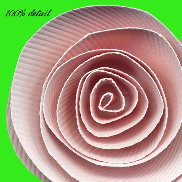 Rolled Paper Flowers, Volume 09