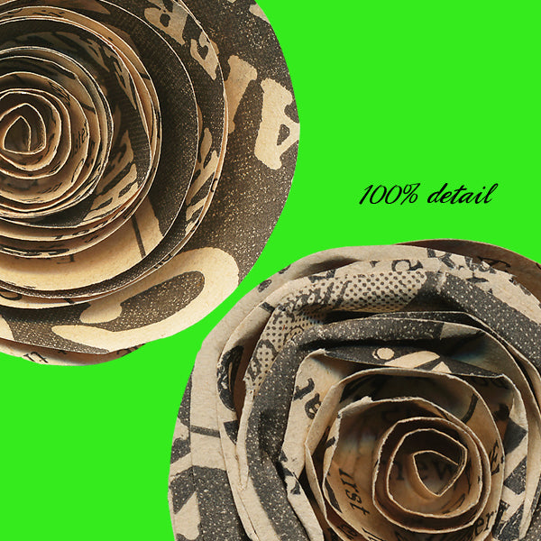 Rolled Paper Flowers, Volume 15