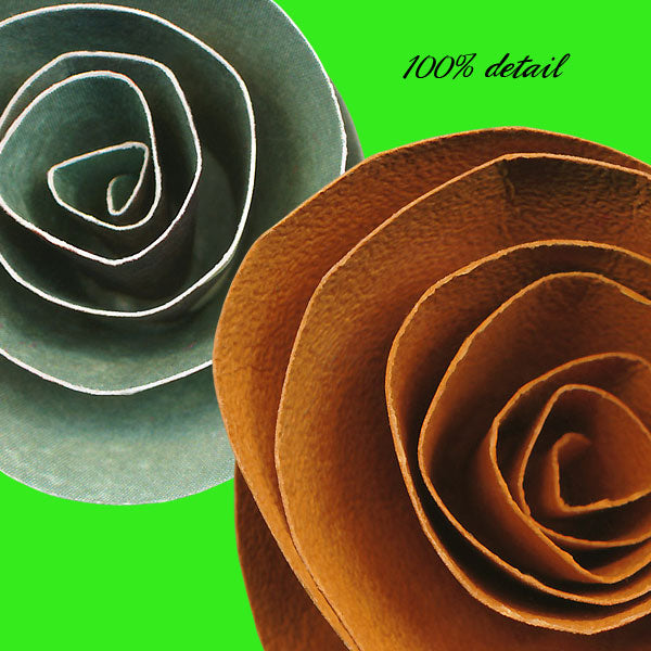 Rolled Paper Flowers, Volume 12