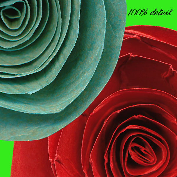 Rolled Paper Flowers, Volume 14