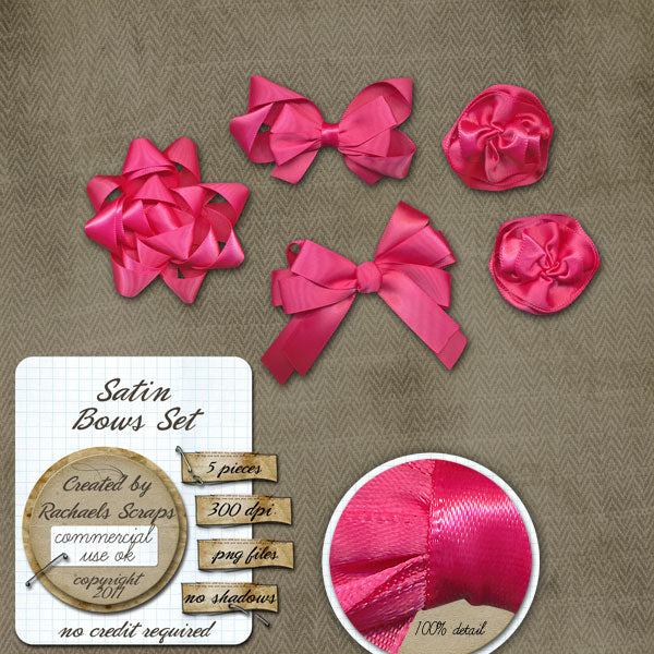 Satin Bows Set