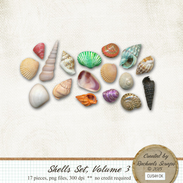 Shells Set, Volume 03