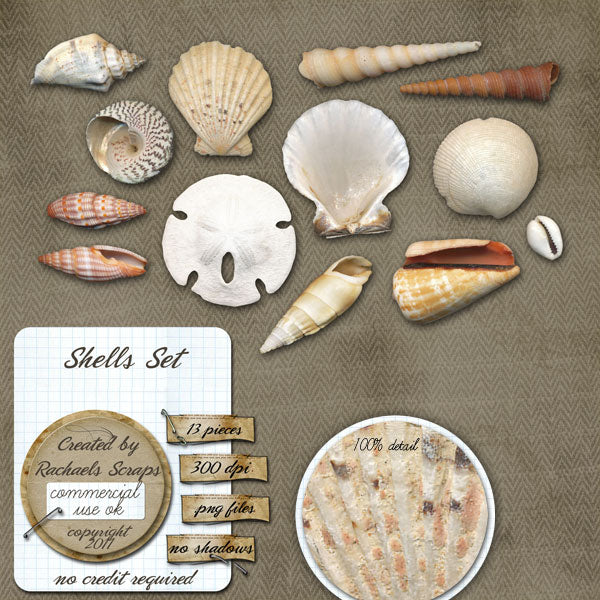Shells Set, Volume 01