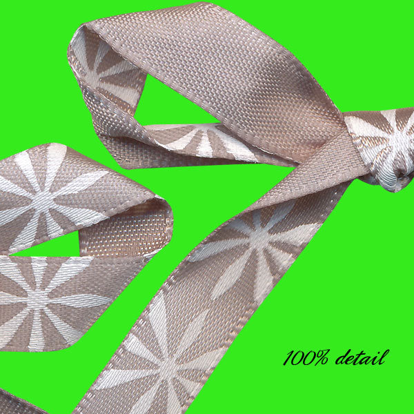 Silver Ribbons Set