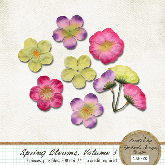 Spring Blooms, Volume 03