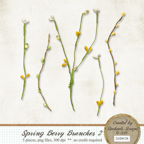 Spring Berry Branches, Volume 02