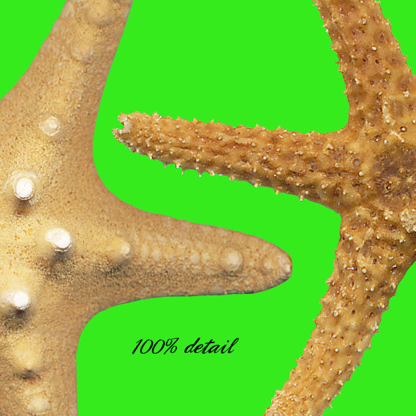 Starfish, Volume 01