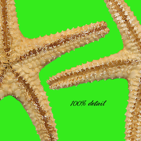 Starfish, Volume 01