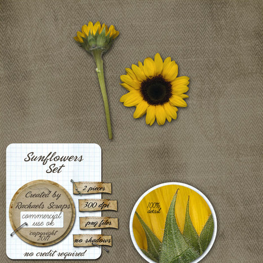 Sunflowers Set