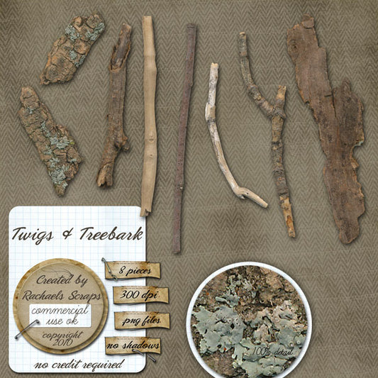 Twigs & Tree Bark