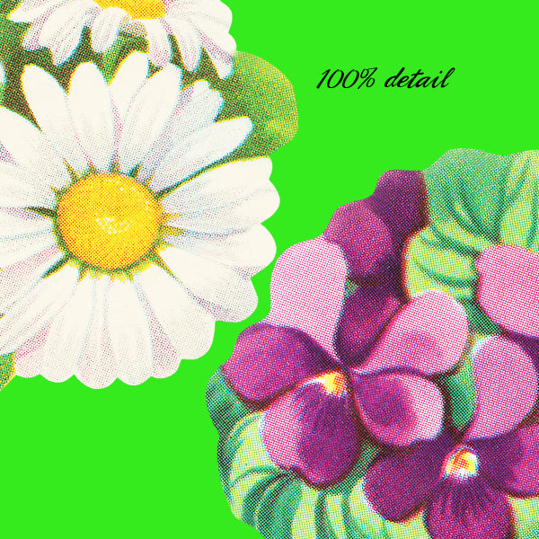 Vintage Ephemera Flowers