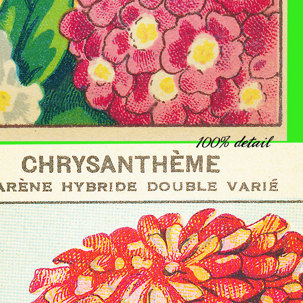 Vintage Seed Packets, Volume 02