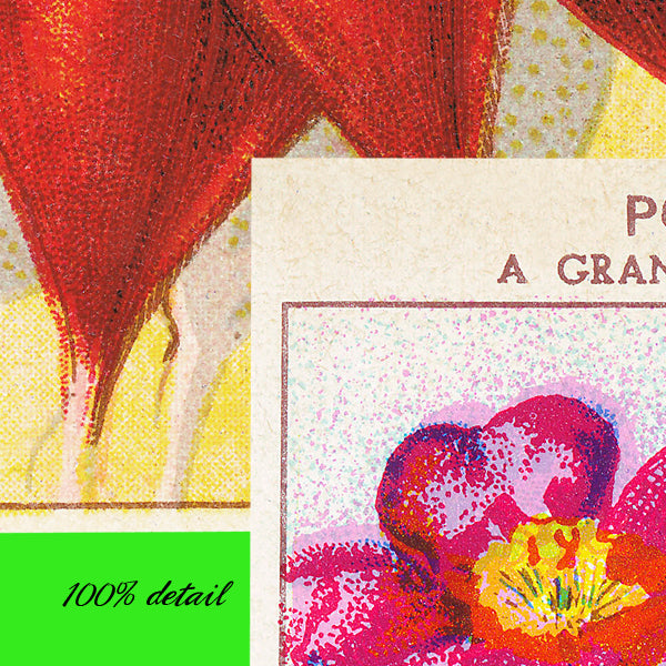 Vintage Seed Packets, Volume 02