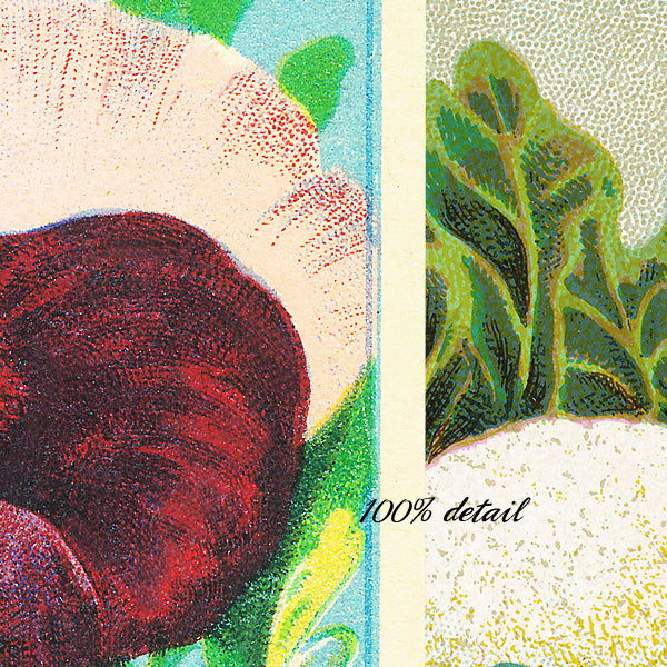 Vintage Seed Packets, Volume 02