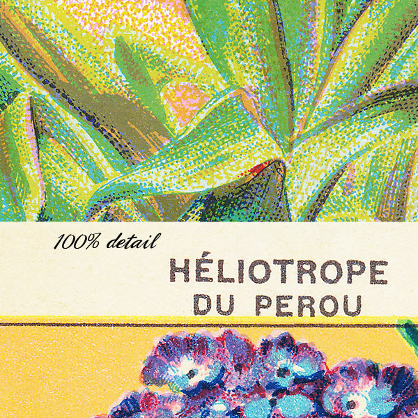 Vintage Seed Packets, Volume 02