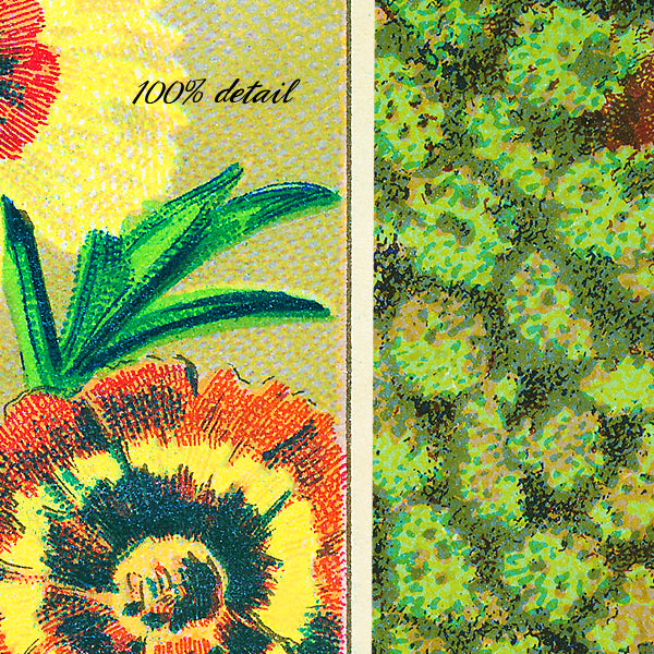 Vintage Seed Packets, Volume 02