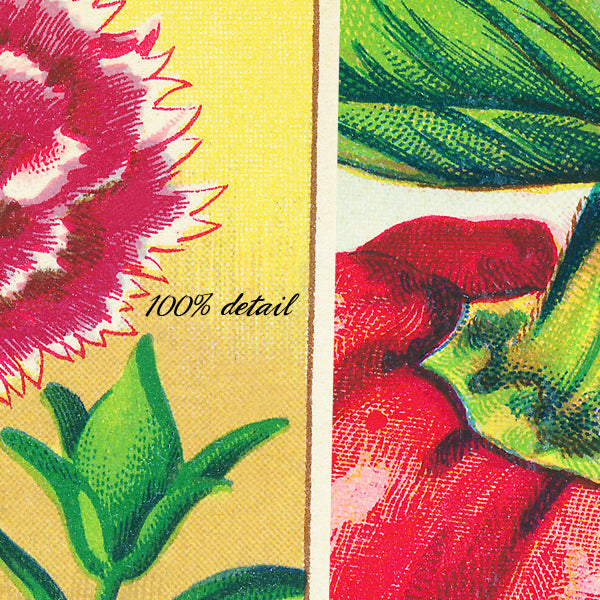 Vintage Seed Packets, Volume 02