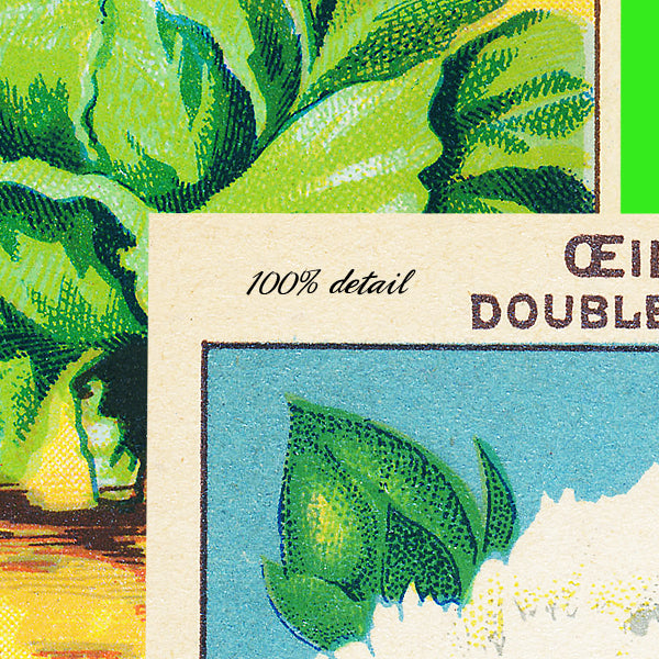 Vintage Seed Packets, Volume 02